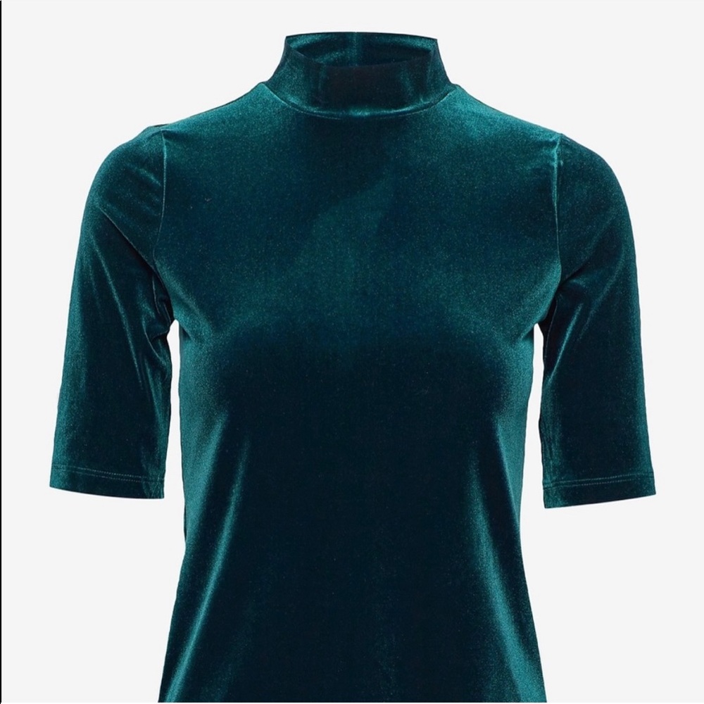 Banana Republic Velvet Mockneck Top